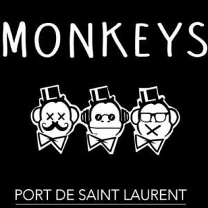 monkeys saint laurent